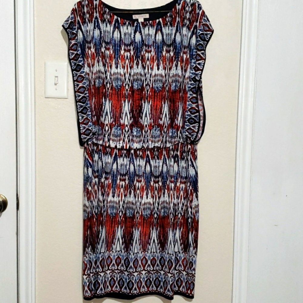Dressbarn dress